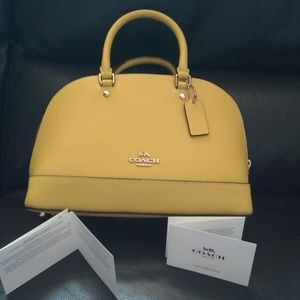 OMG Here is the luxurious CANARY Coach handbag WT